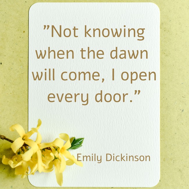 Not knowing when the dawn will come, I open every door. - Emily Dickinson