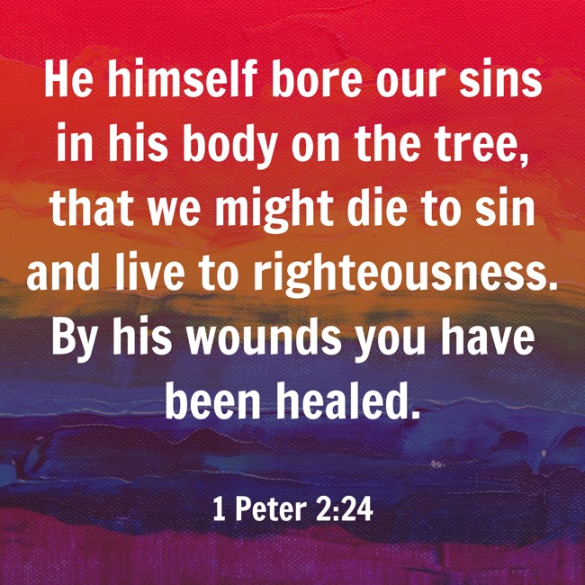 He himself bore our sins in his body on the tree, that we might die to sin and live to righteousness. By his wounds you have been healed. - 1 Peter 2:24