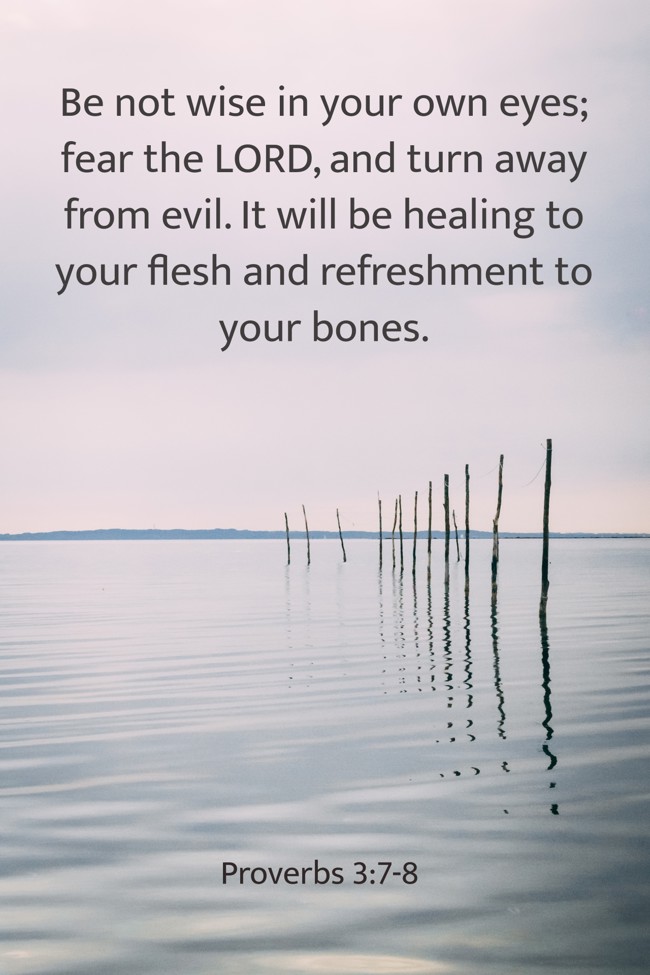 Be not wise in your own eyes; fear the LORD, and turn away from evil. It will be healing to your flesh and refreshment to your bones. - Proverbs 3:7-8