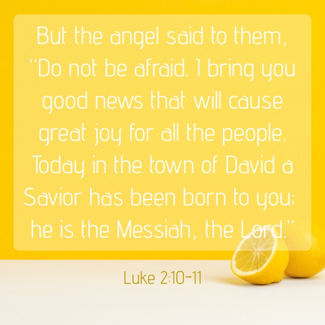 But the angel said to them, “Do not be afraid. I bring you good news that will cause great joy for all the people. Today in the town of David a Savior has been born to you; he is the Messiah, the Lord.” - Luke 2:10-11