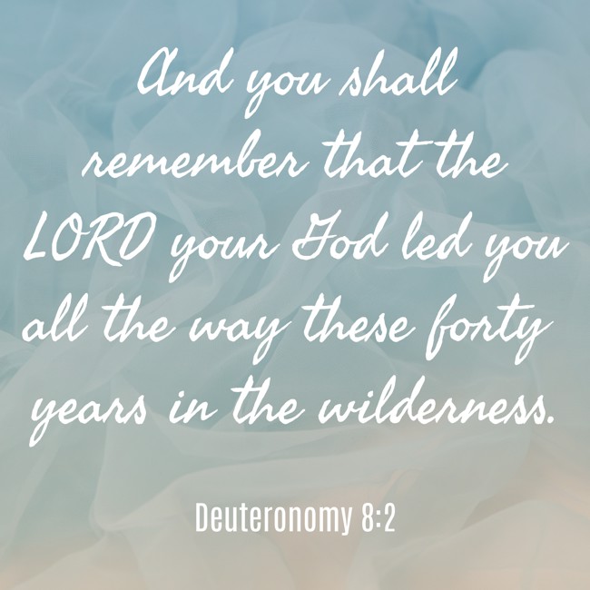 And you shall remember that the LORD your God led you all the way these forty years in the wilderness. - Deuteronomy 8:2