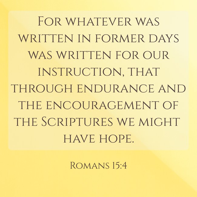 For whatever was written in former days was written for our instruction, that through endurance and the encouragement of the Scriptures we might have hope. - Romans 15:4