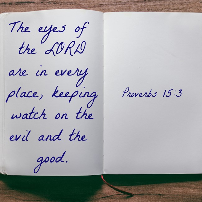 The eyes of the LORD are in every place, keeping watch on the evil and the good. - Proverbs 15:3