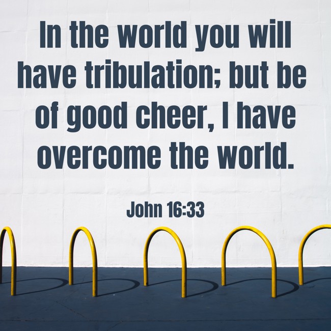 In the world you will have tribulation; but be of good cheer, I have overcome the world. - John 16:33