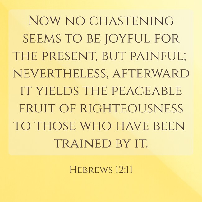 Now no chastening seems to be joyful for the present, but painful; nevertheless, afterward it yields the peaceable fruit of righteousness to those who have been trained by it. - Hebrews 12:11