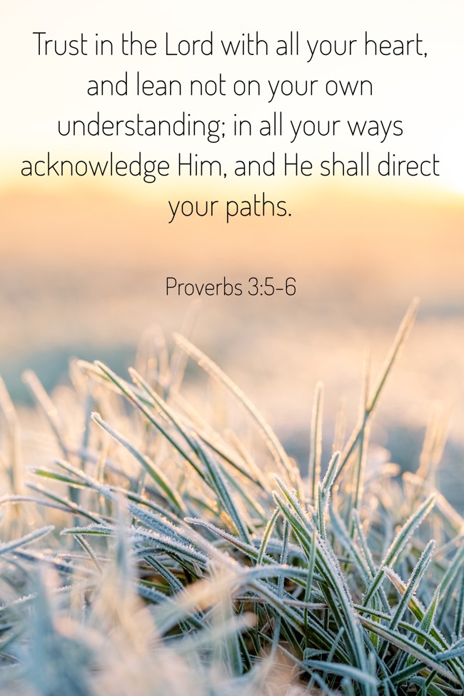 Trust in the Lord with all your heart, and lean not on your own understanding; in all your ways acknowledge Him, and He shall direct your paths. - Proverbs 3:5-6