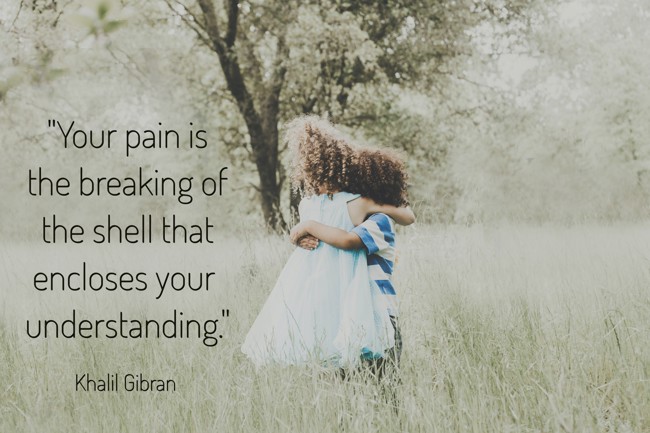Your pain is the breaking of the shell that encloses your understanding. - Khalil Gibran