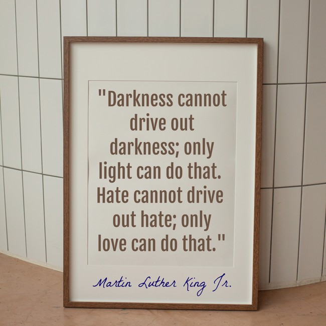 Darkness cannot drive out darkness; only light can do that. Hate cannot drive out hate; only love can do that. - Martin Luther King Jr.
