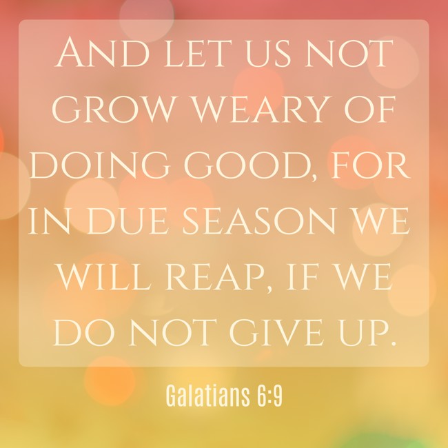 And let us not grow weary of doing good, for in due season we will reap, if we do not give up. - Galatians 6:9