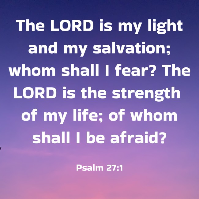 The LORD is my light and my salvation; whom shall I fear? The LORD is the strength of my life; of whom shall I be afraid? - Psalm 27:1