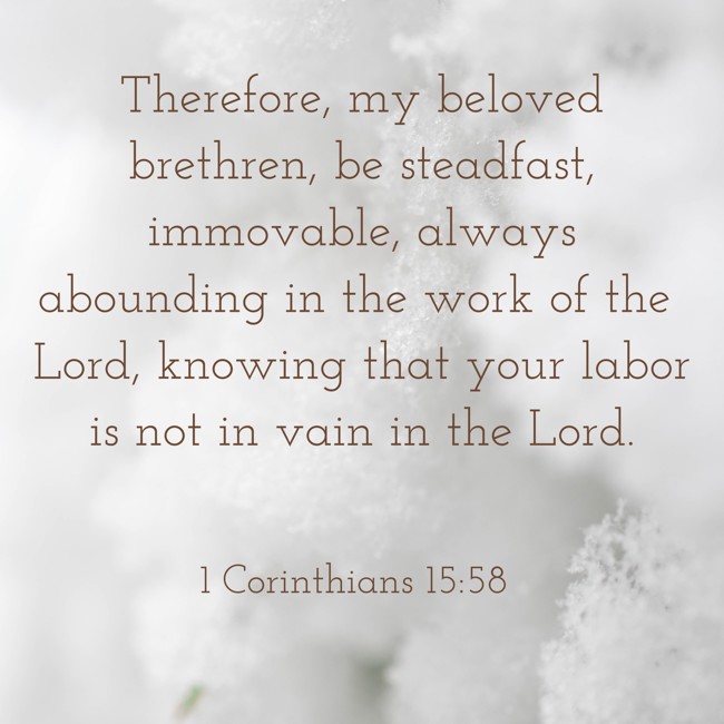 Therefore, my beloved brethren, be steadfast, immovable, always abounding in the work of the Lord, knowing that your labor is not in vain in the Lord. - 1 Corinthians 15:58