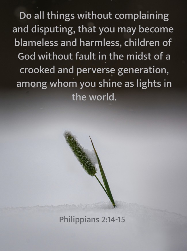Do all things without complaining and disputing, that you may become blameless and harmless, children of God without fault in the midst of a crooked and perverse generation, among whom you shine as lights in the world. - Philippians 2:14-15