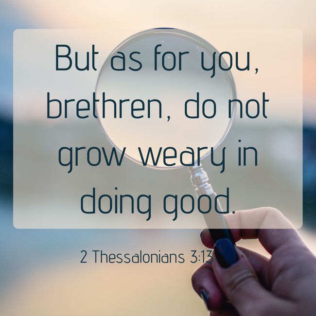 But as for you, brethren, do not grow weary in doing good. - 2 Thessalonians 3:13