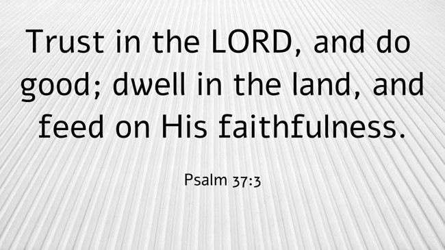 Trust in the LORD, and do good; dwell in the land, and feed on His faithfulness. - Psalm 37:3
