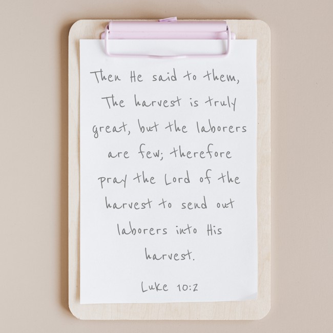 Then He said to them, The harvest is truly great, but the laborers are few; therefore pray the Lord of the harvest to send out laborers into His harvest. - Luke 10:2