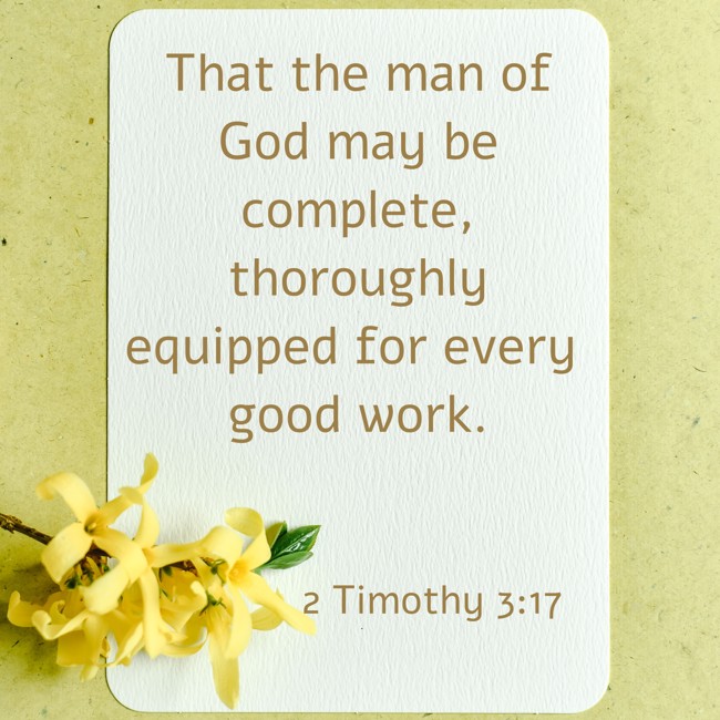 That the man of God may be complete, thoroughly equipped for every good work. - 2 Timothy 3:17