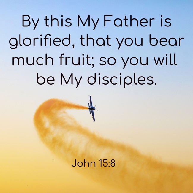 By this My Father is glorified, that you bear much fruit; so you will be My disciples. - John 15:8
