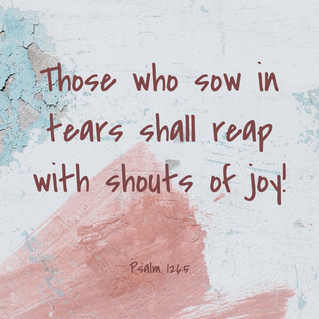Those who sow in tears shall reap with shouts of joy! - Psalm 126:5