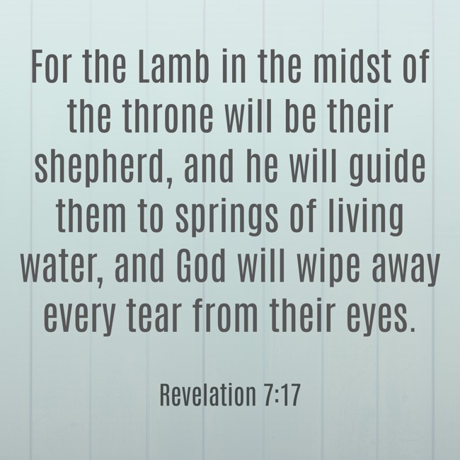 For the Lamb in the midst of the throne will be their shepherd, and he will guide them to springs of living water, and God will wipe away every tear from their eyes. - Revelation 7:17