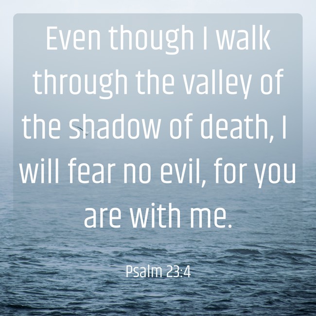 Even though I walk through the valley of the shadow of death, I will fear no evil, for you are with me. - Psalm 23:4