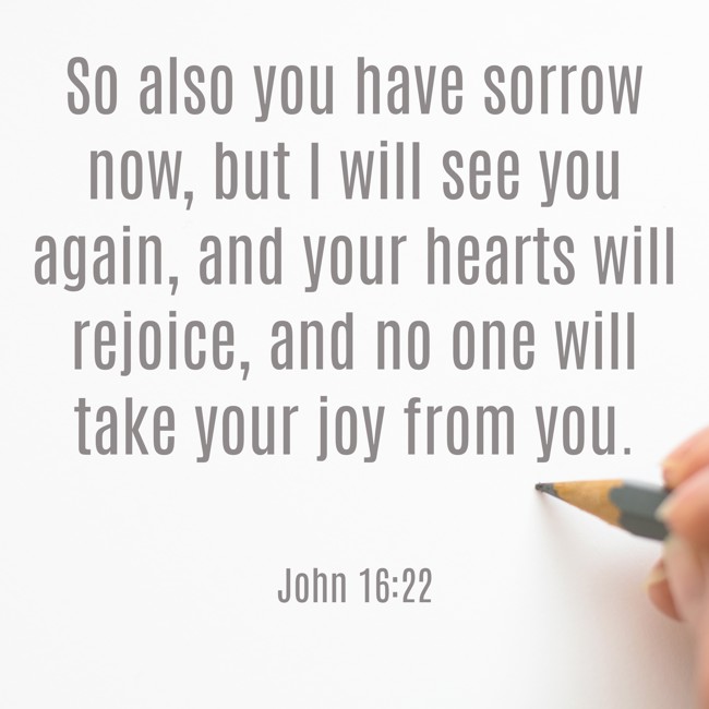 So also you have sorrow now, but I will see you again, and your hearts will rejoice, and no one will take your joy from you. - John 16:22