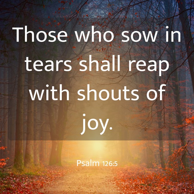Those who sow in tears shall reap with shouts of joy. - Psalm 126:5
