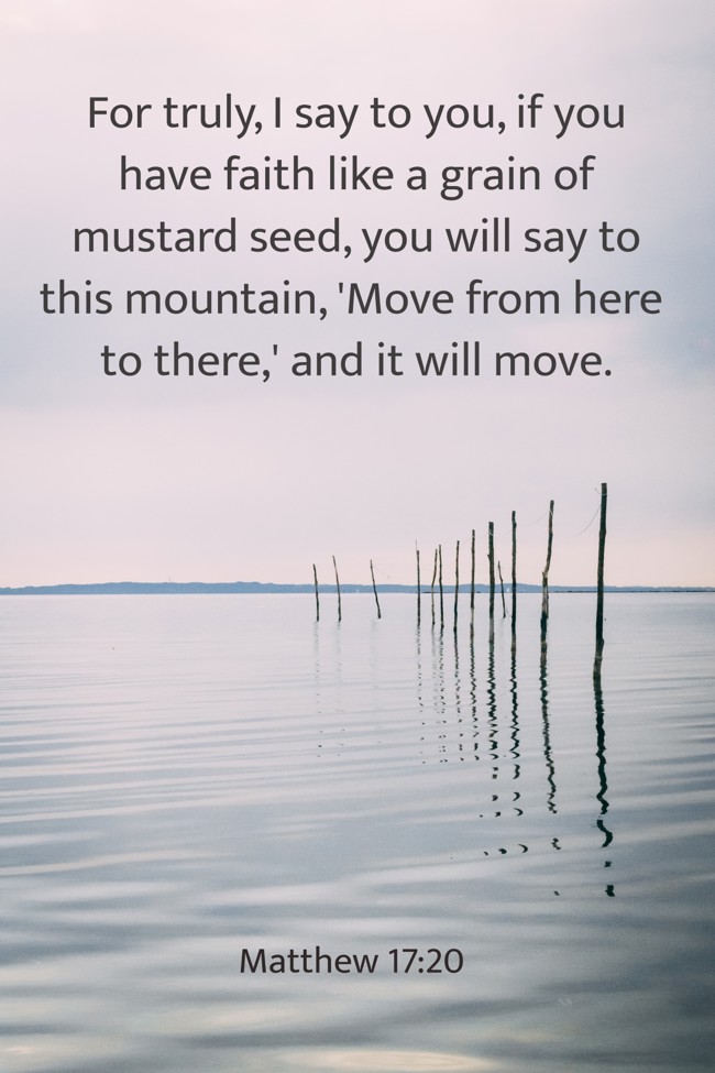 For truly, I say to you, if you have faith like a grain of mustard seed, you will say to this mountain, 'Move from here to there,' and it will move. - Matthew 17:20