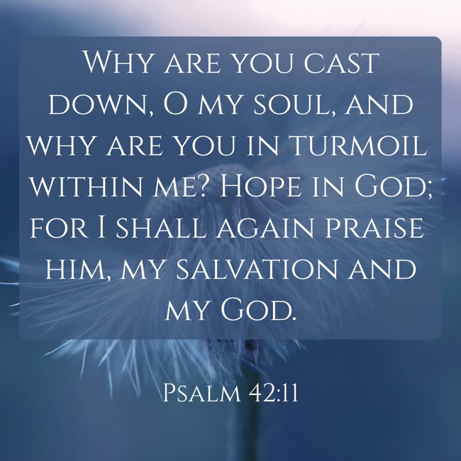 Why are you cast down, O my soul, and why are you in turmoil within me? Hope in God; for I shall again praise him, my salvation and my God. - Psalm 42:11