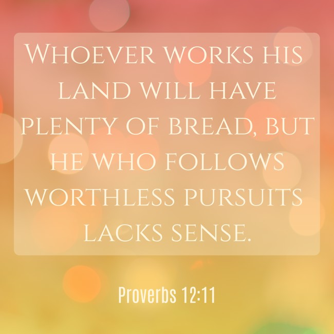 Whoever works his land will have plenty of bread, but he who follows worthless pursuits lacks sense. - Proverbs 12:11