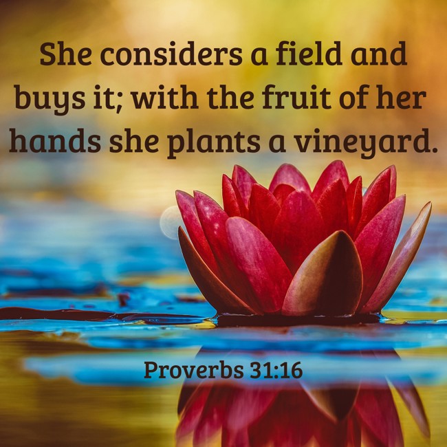 She considers a field and buys it; with the fruit of her hands she plants a vineyard. - Proverbs 31:16