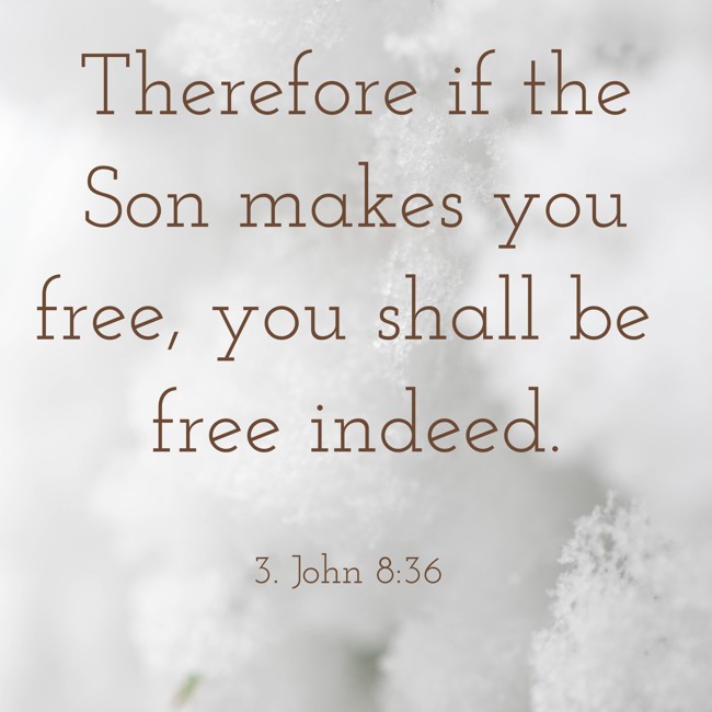 Therefore if the Son makes you free, you shall be free indeed. - 3. John 8:36