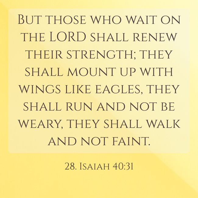 But those who wait on the LORD shall renew their strength; they shall mount up with wings like eagles, they shall run and not be weary, they shall walk and not faint. - 28. Isaiah 40:31