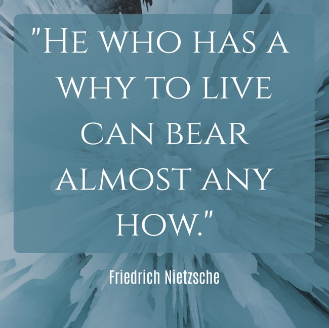 He who has a why to live can bear almost any how. - Friedrich Nietzsche