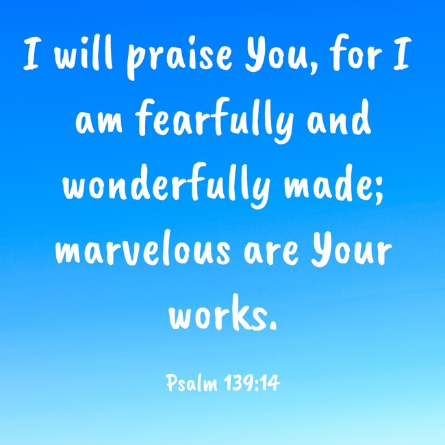 I will praise You, for I am fearfully and wonderfully made; marvelous are Your works. - Psalm 139:14