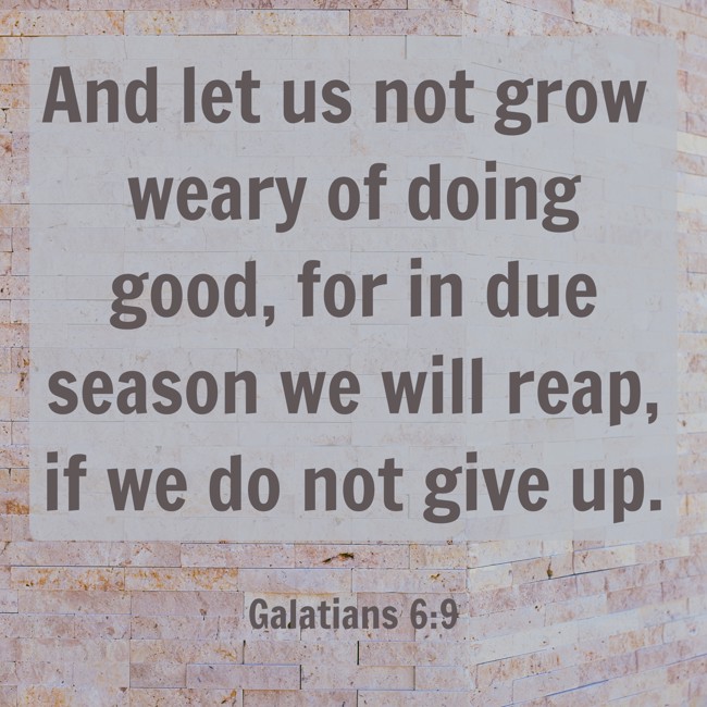 And let us not grow weary of doing good, for in due season we will reap, if we do not give up. - Galatians 6:9