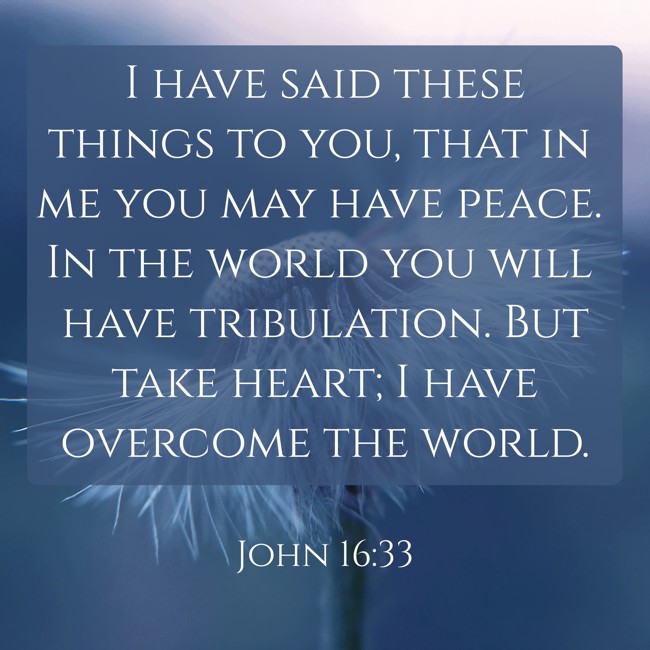 I have said these things to you, that in me you may have peace. In the world you will have tribulation. But take heart; I have overcome the world. - John 16:33