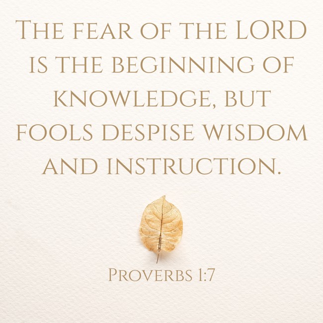 The fear of the LORD is the beginning of knowledge, but fools despise wisdom and instruction. - Proverbs 1:7