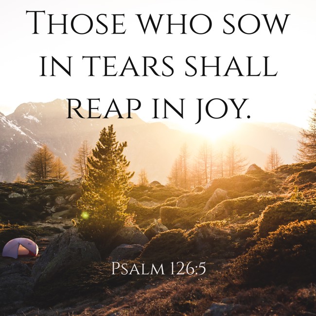 Those who sow in tears shall reap in joy. - Psalm 126:5