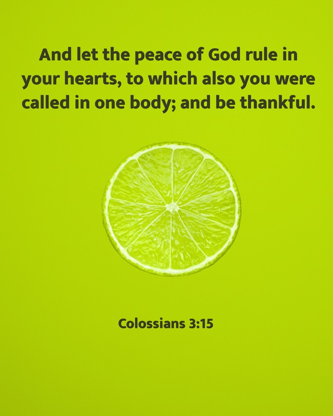 And let the peace of God rule in your hearts, to which also you were called in one body; and be thankful. - Colossians 3:15