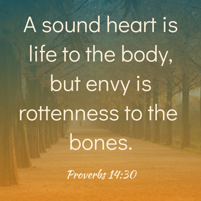A sound heart is life to the body, but envy is rottenness to the bones. - Proverbs 14:30