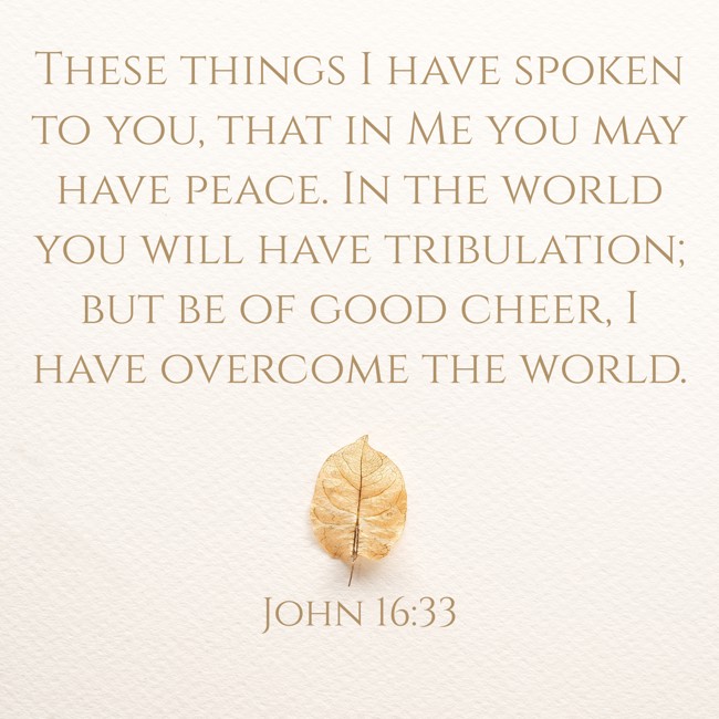 These things I have spoken to you, that in Me you may have peace. In the world you will have tribulation; but be of good cheer, I have overcome the world. - John 16:33