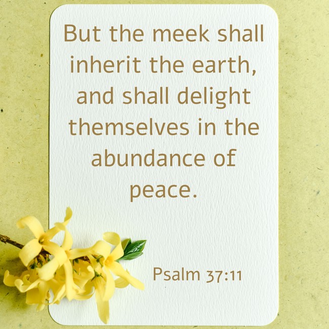 But the meek shall inherit the earth, and shall delight themselves in the abundance of peace. - Psalm 37:11
