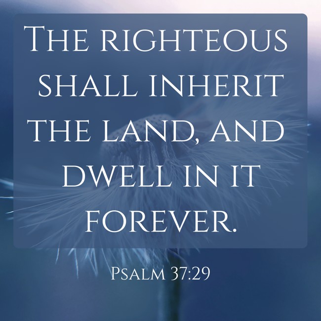 The righteous shall inherit the land, and dwell in it forever. - Psalm 37:29