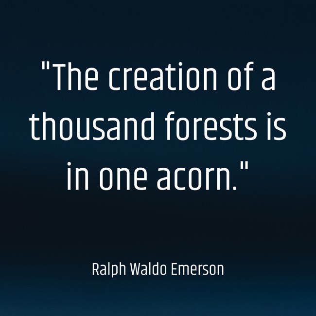 The creation of a thousand forests is in one acorn. - Ralph Waldo Emerson