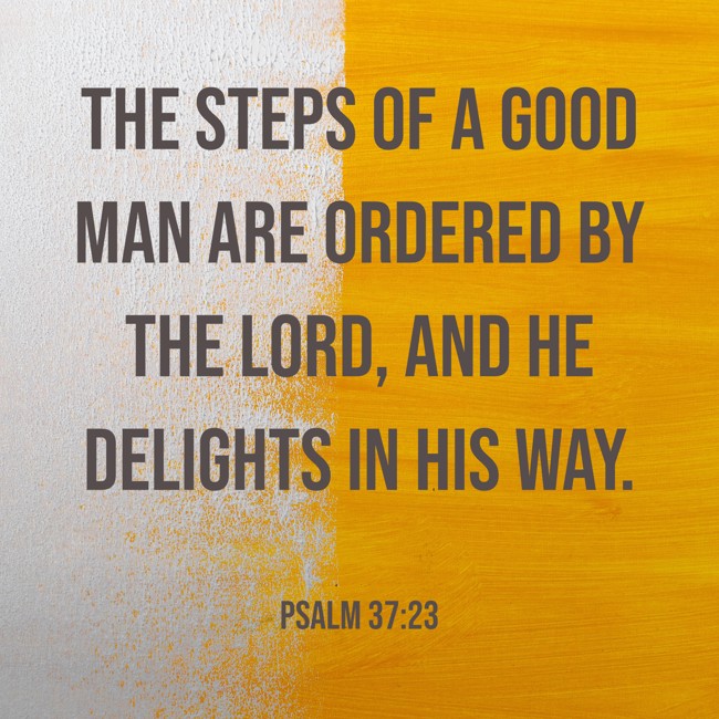  The steps of a good man are ordered by the LORD, and He delights in his way.   - Psalm 37:23 