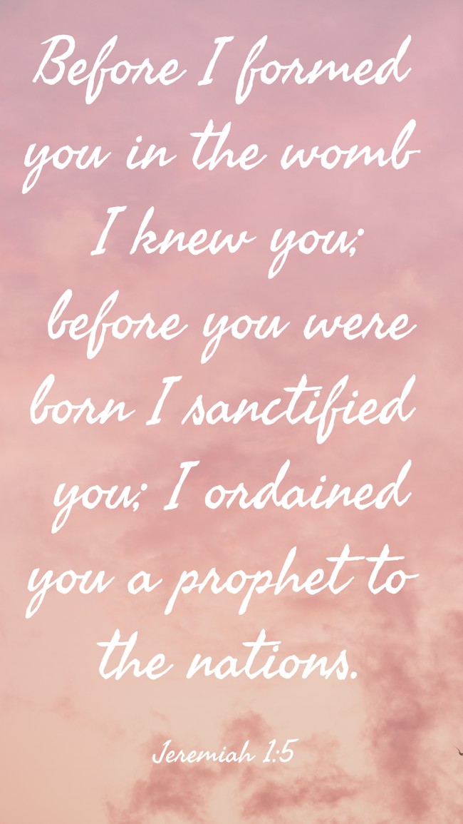  Before I formed you in the womb I knew you; before you were born I sanctified you; I ordained you a prophet to the nations.   - Jeremiah 1:5 