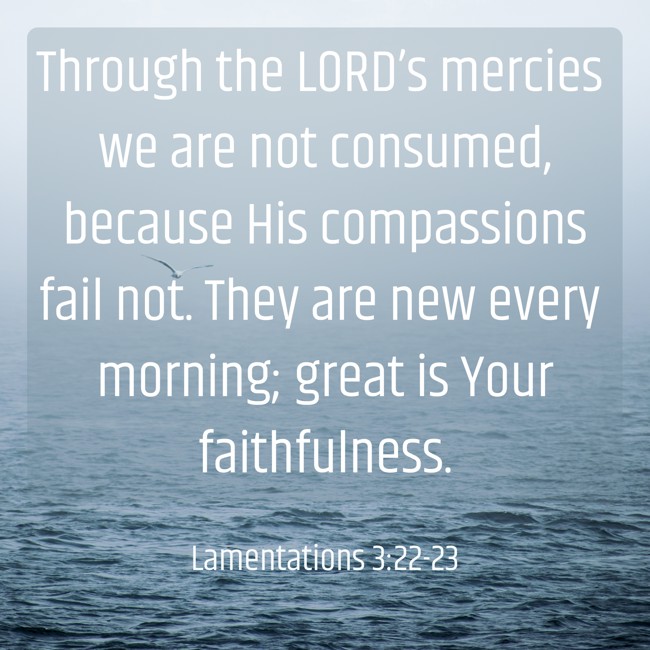 Through the LORD’s mercies we are not consumed, because His compassions fail not. They are new every morning; great is Your faithfulness.   - Lamentations 3:22-23 