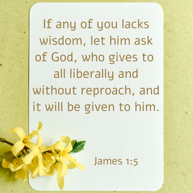 If any of you lacks wisdom, let him ask of God, who gives to all liberally and without reproach, and it will be given to him. - James 1:5