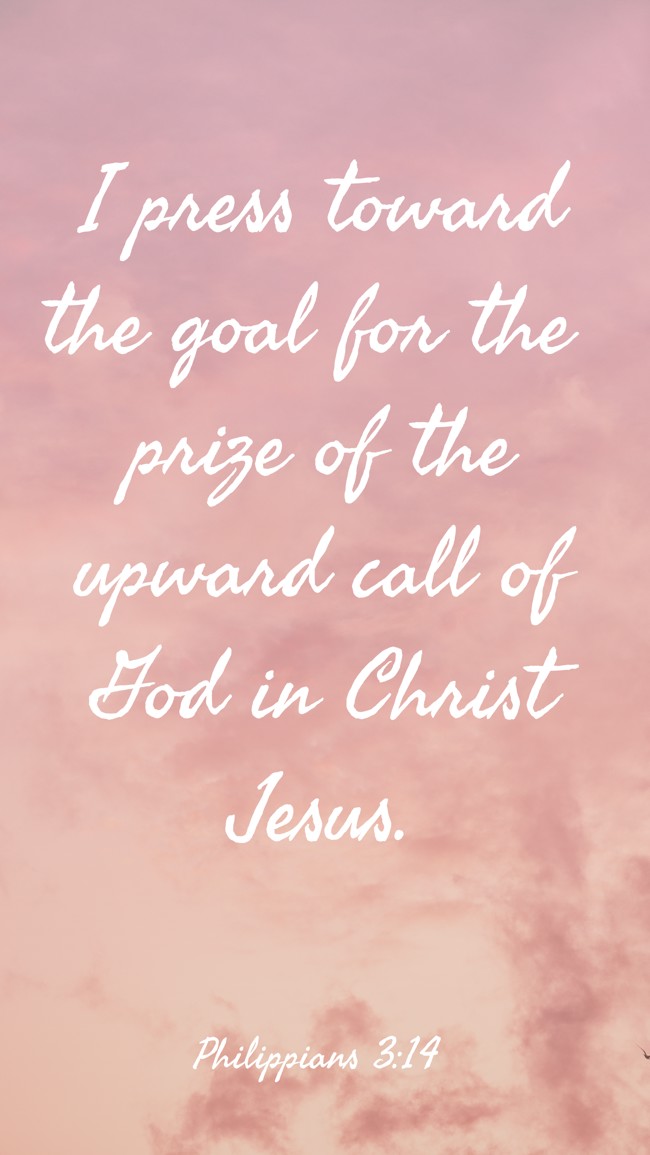 I press toward the goal for the prize of the upward call of God in Christ Jesus. - Philippians 3:14
