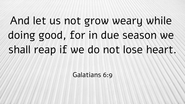 And let us not grow weary while doing good, for in due season we shall reap if we do not lose heart. - Galatians 6:9